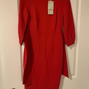 Brand New Women’s dress
